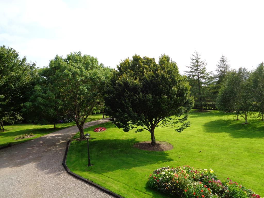 Bed and Breakfast Redwood Килларни Экстерьер фото